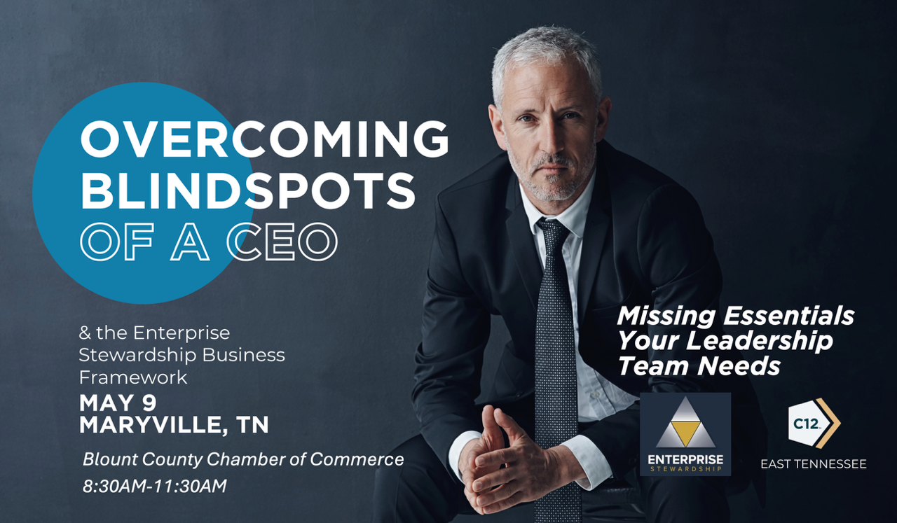 overcoming blindspots of a ceo
